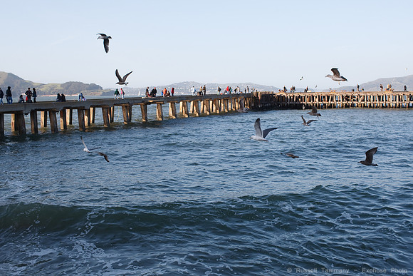 Fort Point and Crissy Field
