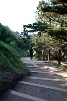 Lands End & Sutro District