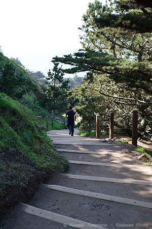 Lands End & Sutro District