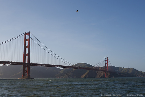 Fort Point and Crissy Field
