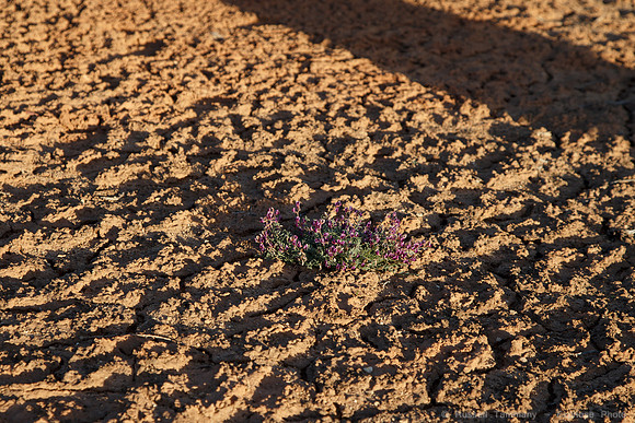 White Crack, Canyonlands NP