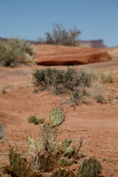 The White Rim Trail, Canyonlands NP