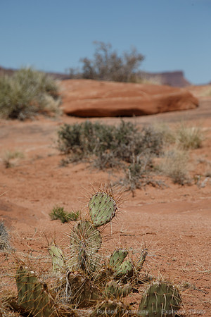 The White Rim Trail, Canyonlands NP