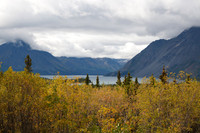 Kluane NP, YT