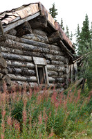 Kluane NP, YT