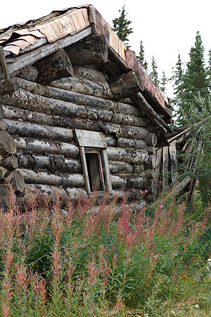 Kluane NP, YT