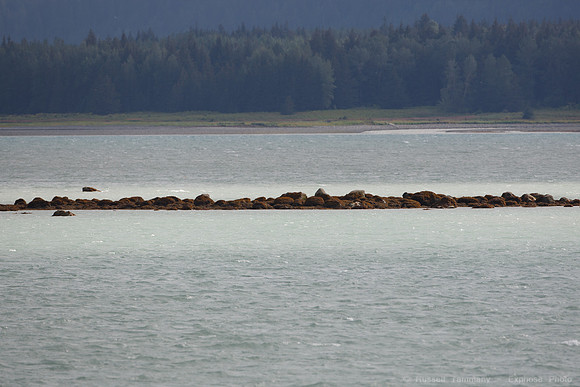 Haines, AK