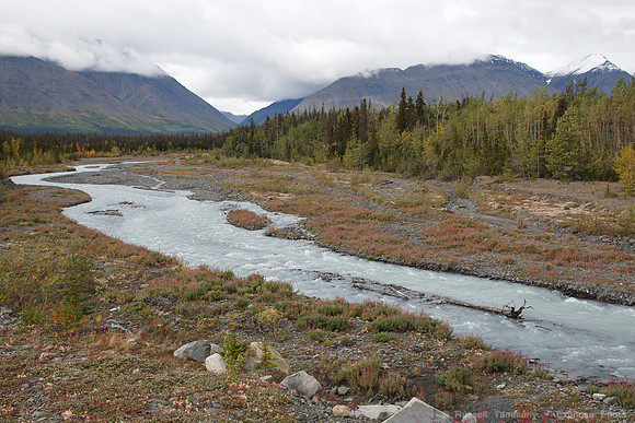 Kluane NP, YT