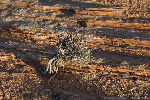 White Crack, Canyonlands NP