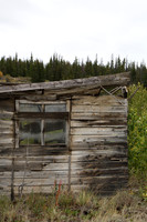Kluane NP, YT