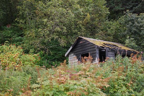 Haines, AK