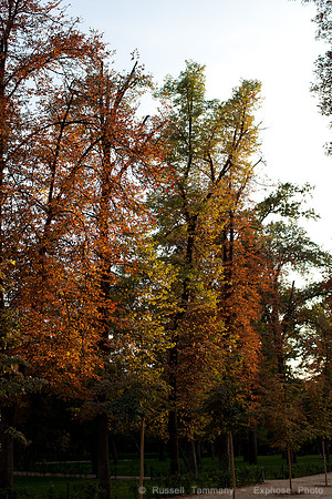 Madrid - El Parque de Retiro