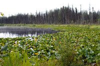 Hwy 97, B.C.