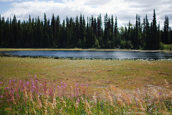 Hwy 97, B.C.