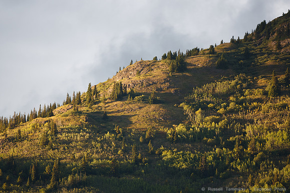 Hwy 97, YT