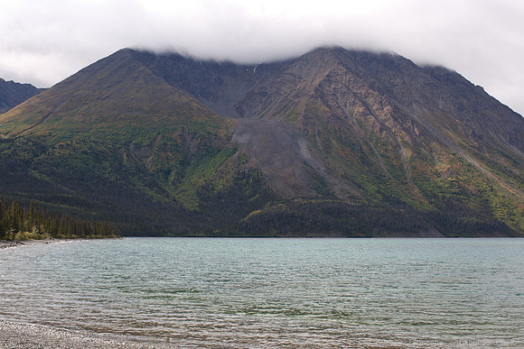 Kluane NP, YT