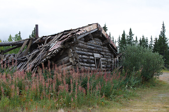 Kluane NP, YT
