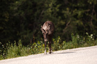 Hwy 97, B.C.