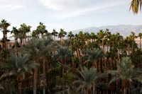 Furnace Creek Inn, Death Valley NP