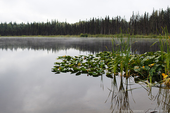 Hwy 97, B.C.