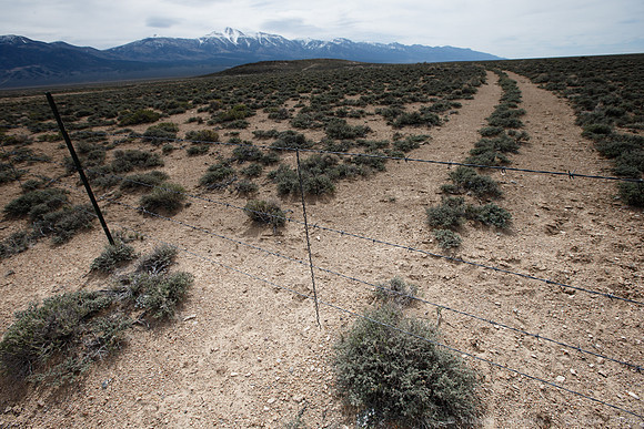 Wheeler Peak