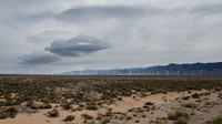 White Pine Windmills
