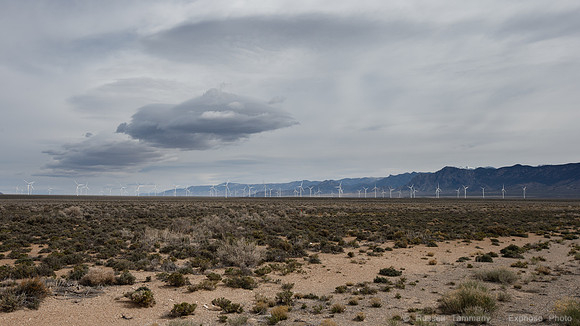 White Pine Windmills