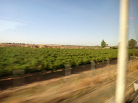 Seville - Madrid - AVE
