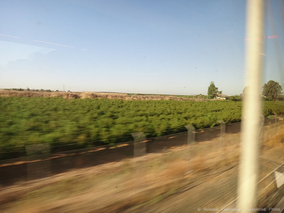 Seville - Madrid - AVE