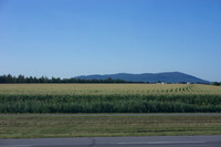 DSC01331
