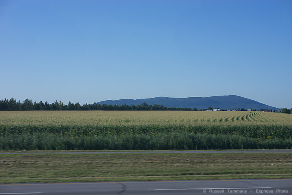 DSC01331