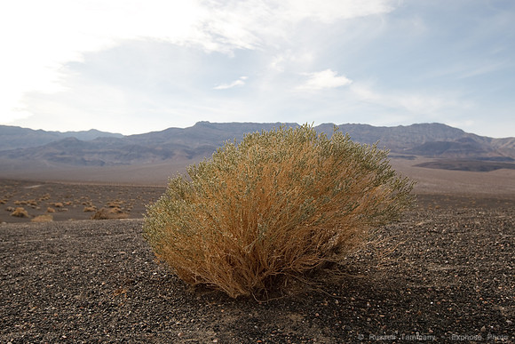 Ubehebe Crater, Death Valley NP