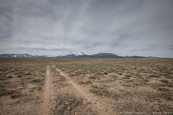 Wheeler Peak