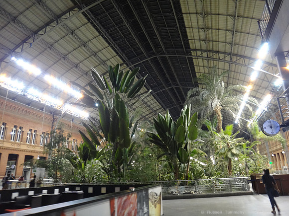 Madrid - Atocha Station