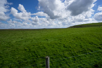 DSC02994