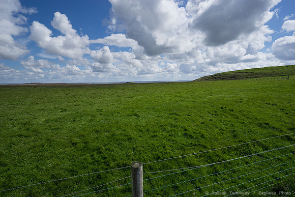 DSC02994