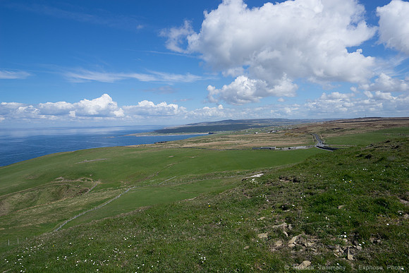 DSC02998
