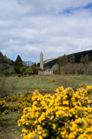 DSC02617