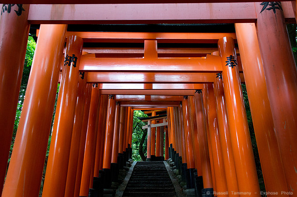 Fushimi Inari Shrine - Kyoto, JP