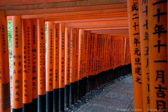 Fushimi Inari Shrine - Kyoto, JP
