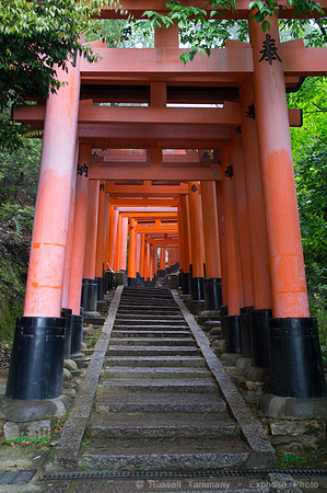 Fushimi Inari Shrine - Kyoto, JP