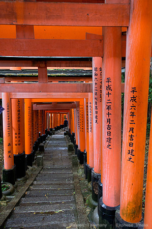 Fushimi Inari Shrine - Kyoto, JP