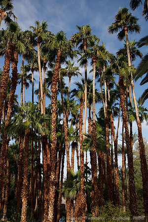 Furnace Creek Inn, Death Valley NP