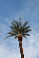 Furnace Creek Inn, Death Valley NP