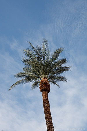 Furnace Creek Inn, Death Valley NP