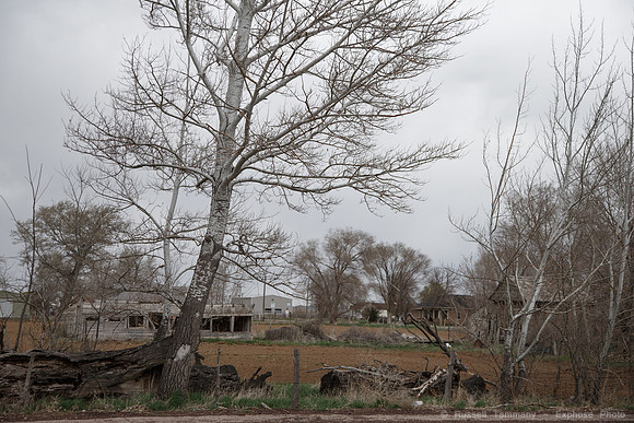 Scipio, UT