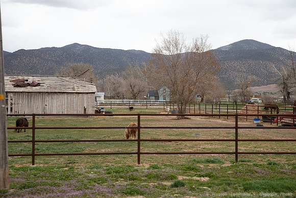 Scipio, UT