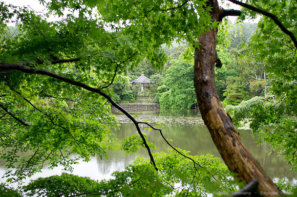 Ryōan-ji - Kyoto, JP