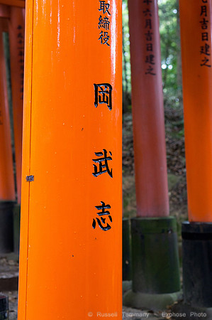 Fushimi Inari Shrine - Kyoto, JP