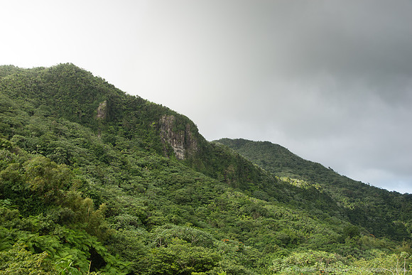 DSC06457
